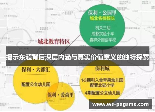 揭示东超背后深层内涵与真实价值意义的独特探索