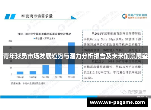 青年球员市场发展趋势与潜力分析报告及未来前景展望